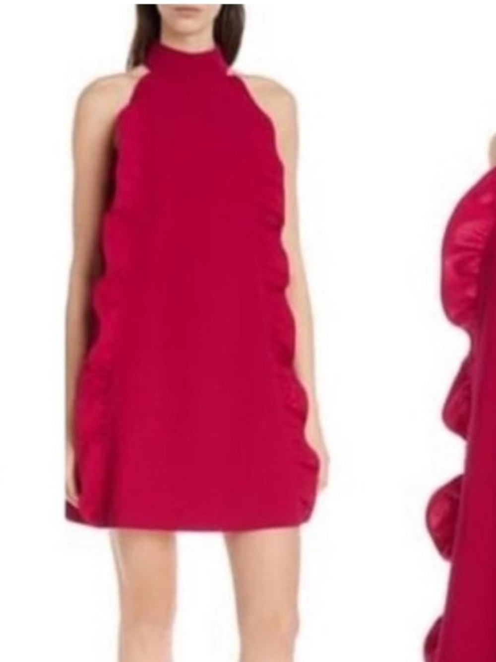 Ted Baker Torriya Ruffle Shift Dress